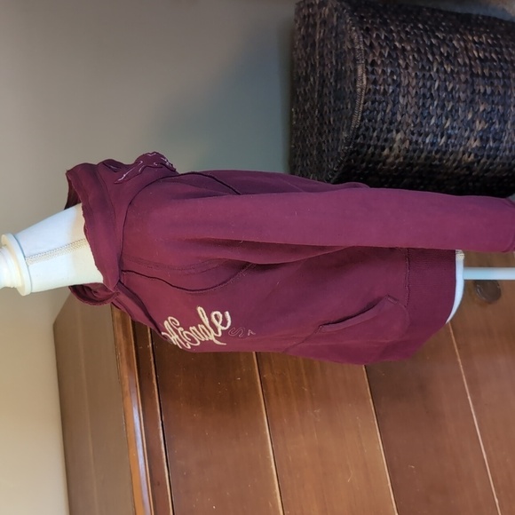 AMERICAN EAGLE 🦅 Burgundy Washed Y2K Hoodie Sweatshirt SZ M - Picture 5 of 12